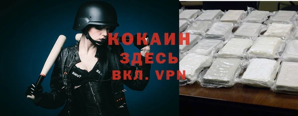 стаф Новозыбков
