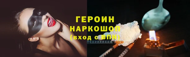 стаф Новозыбков