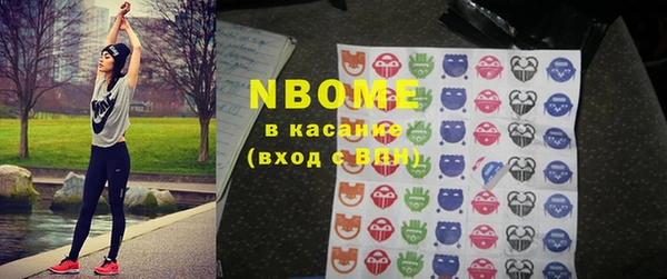 стаф Новозыбков