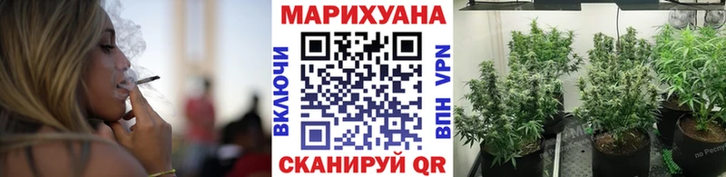 Шишки марихуана семена  наркота  Трубчевск 